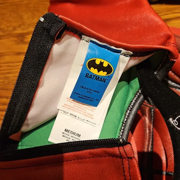 Chasing Fireflies Rubies Ultimate Robin costume - like new! - Picture 2 of 3